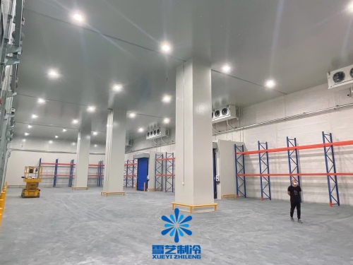 建設(shè)一個(gè)大型冷庫(kù)造價(jià)投資成本多少錢(qián)？